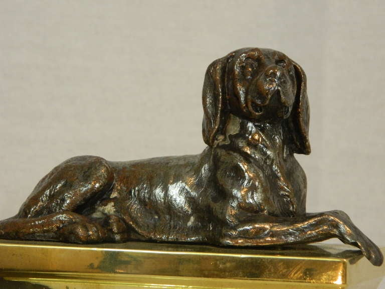 Brass Pair of French Dog Andirons with Fender, 19th Century