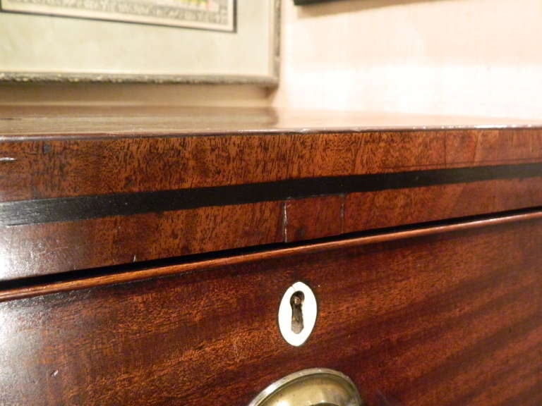Regency Inlaid Small Mahogany Chest of Drawers 3