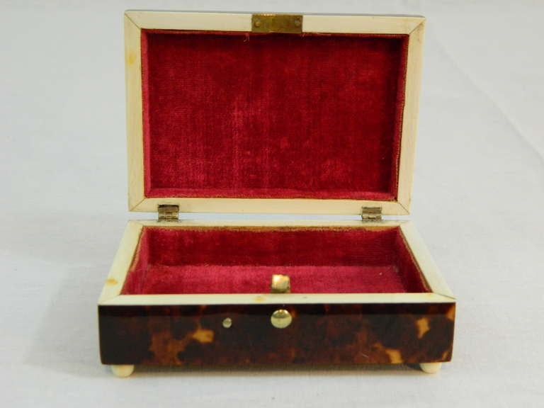 Tortoise Shell Inset Box with a View of Yorkminster 2