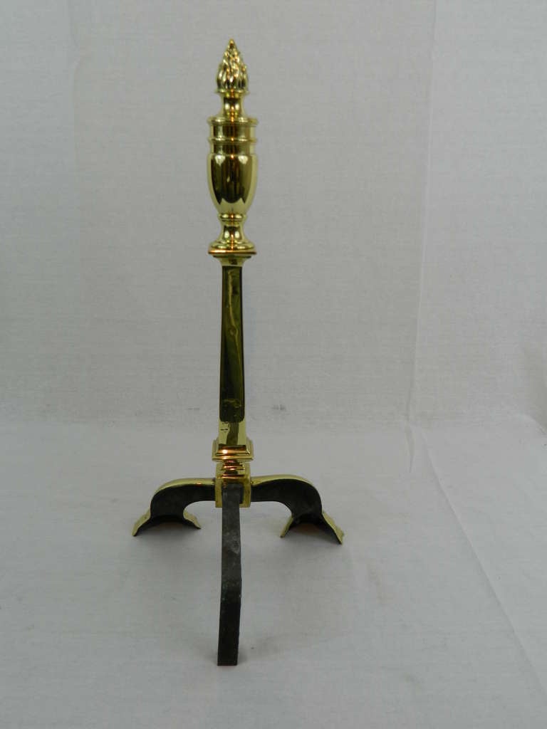 Pair of Tall Chenets or Andirons with Paw Feet and Flame Finials, 19th Century 1