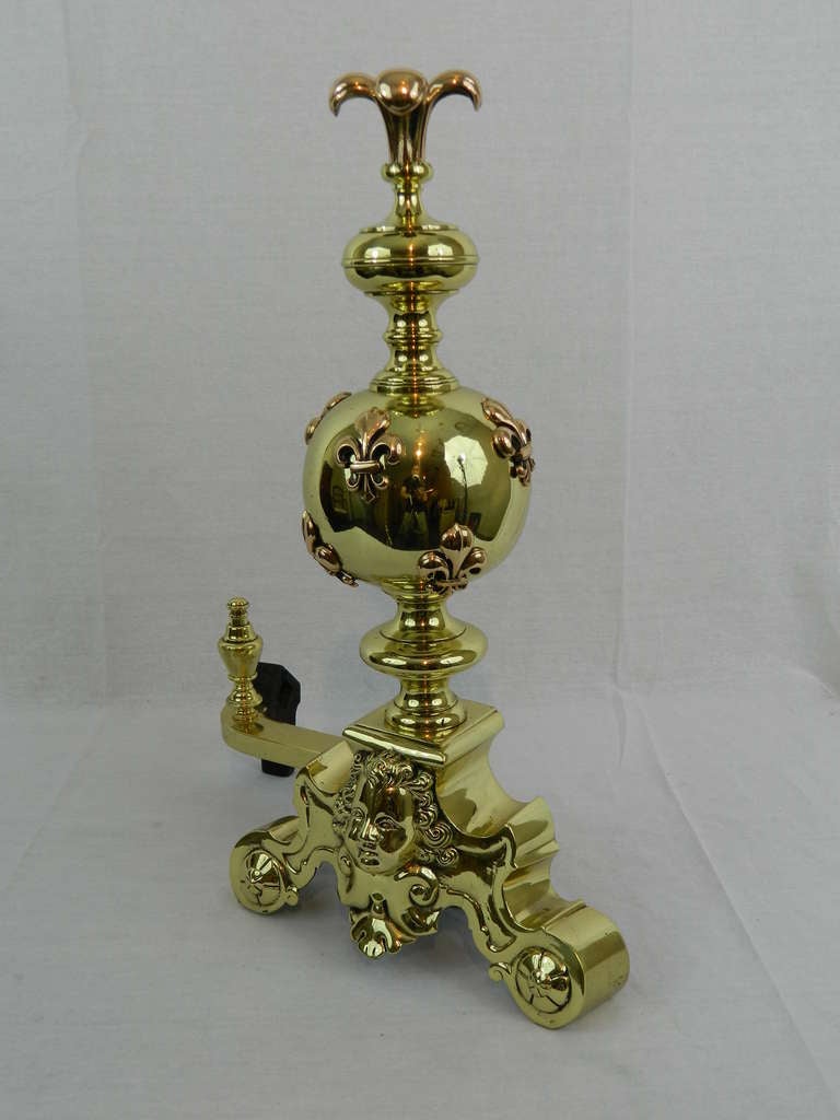 French Pair of Chenets or Andirons with a Fleur-de-Lys Motif Finials, 19th Century