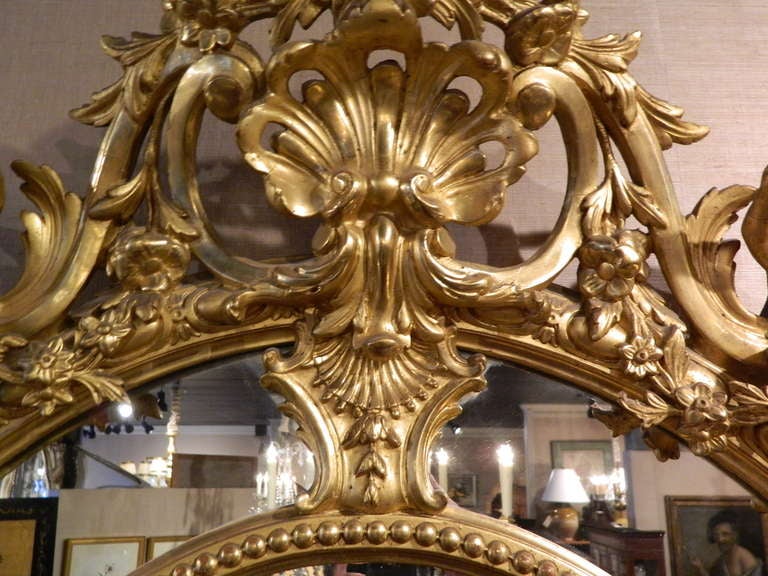 English 24-Karat Water Gilt Oval Mirror Adorned with Cherubs and Shells 4