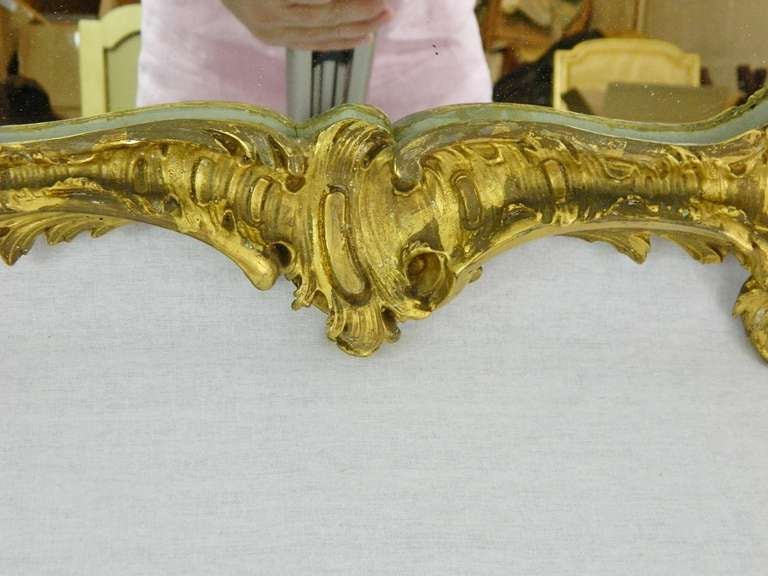 French Louis XV Style Carved & Gilded Mirror with Carved Shell and Scroll, 19th Century For Sale