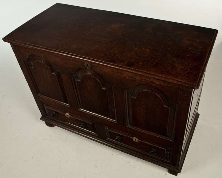 18th century welsh oak blanket chest. The hinged rectangular top opening to a well above a panelled front over two short drawers, the stiles continue to form the feet.
 