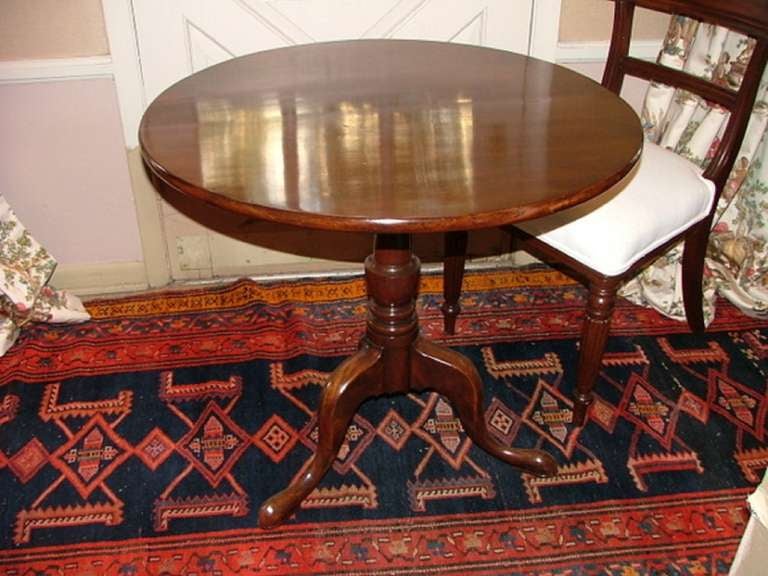English Mahogany Tilt-Top Table, 19th Century 1