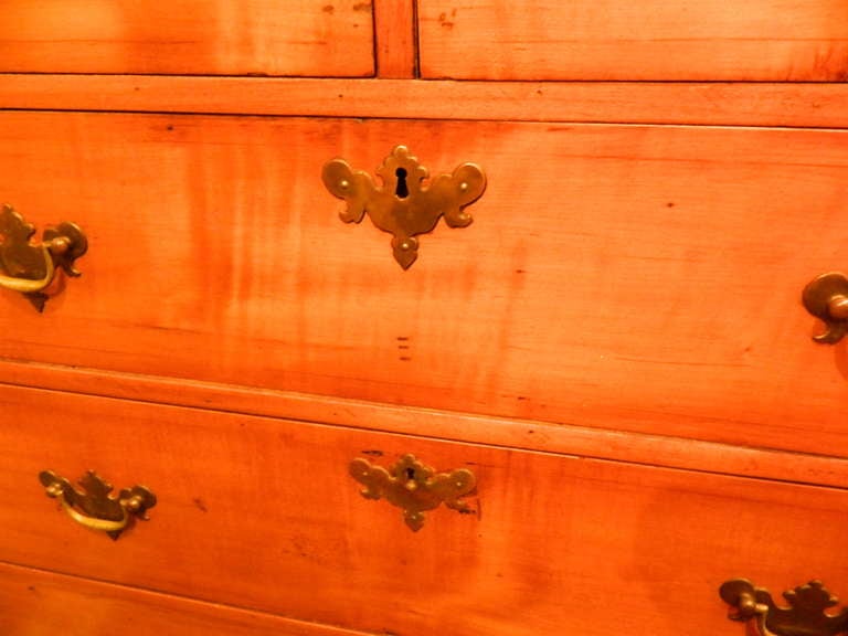 Walnut New England Maple Two over Three Chest of Drawers, 19th Century