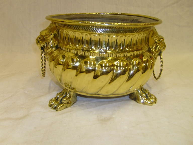 French 19th Century Round Brass Jardiniere with Lion Ring Handles