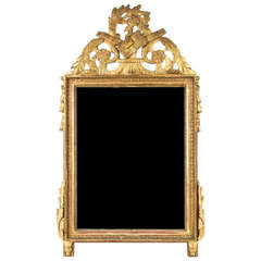 19th Century Neoclassical Style Carved Gilt Wood Mirror