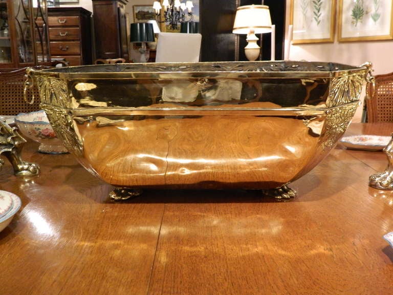 Brass Jardiniere Fountain Bowl Ending on Front Paw Supports, 19th Century In Excellent Condition In Savannah, GA