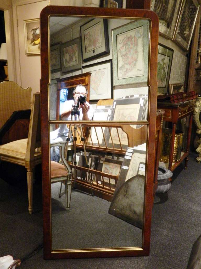 English 19th Century Mahogany and Gilt Queen Anne Mirror