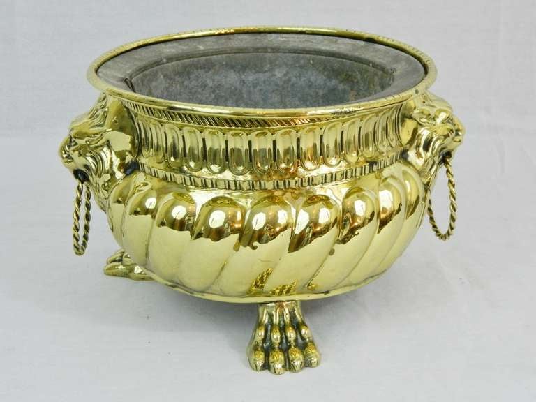 19th Century Round Brass Jardiniere with Lion Ring Handles and Original Liner