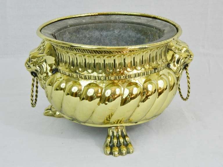 19th Century Round Brass Jardiniere with Lion Ring Handles In Good Condition In Savannah, GA