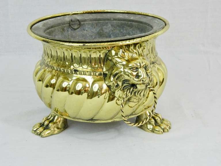 19th Century Round Brass Jardiniere with Lion Ring Handles 1