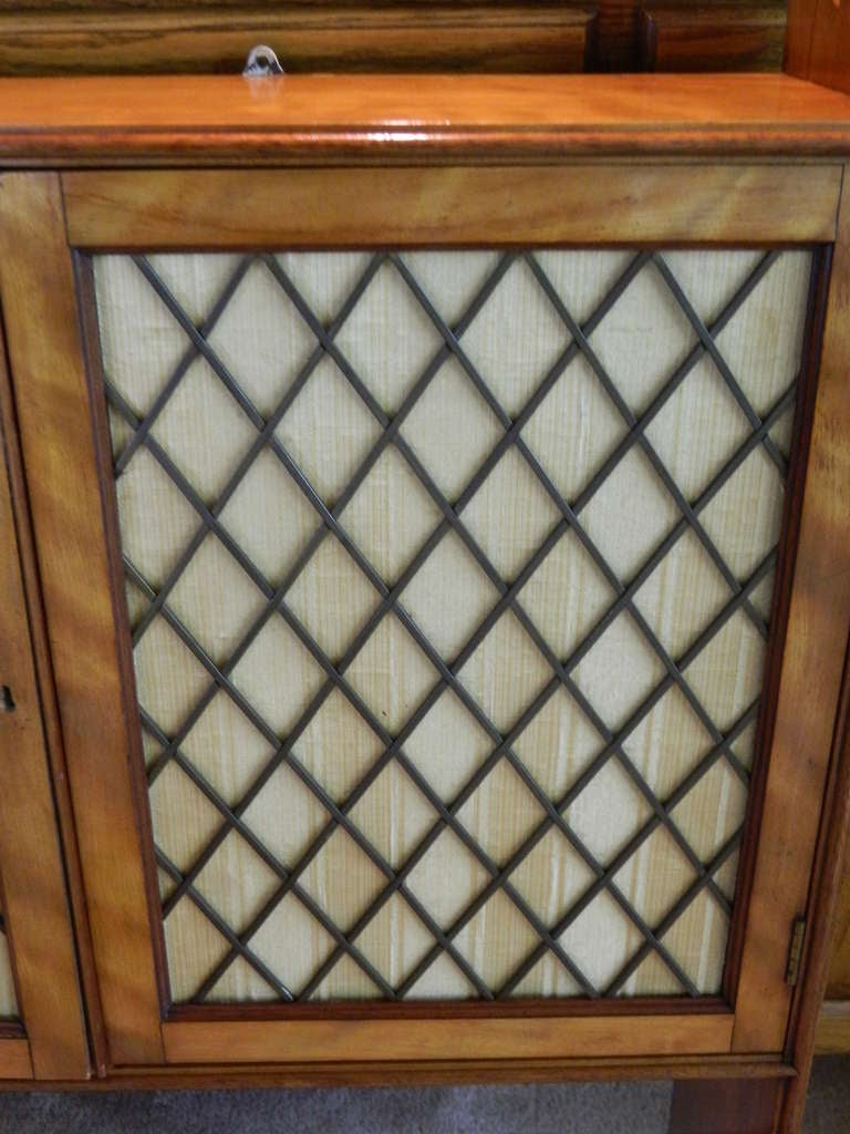 20th Century Circa 1900 Fine Edwardian Wall Cabinet with Brass Grilled Doors