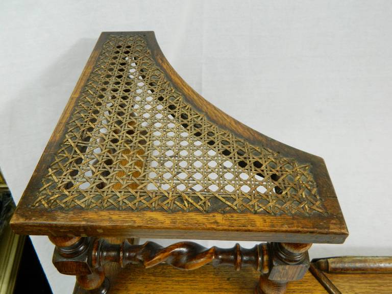 19th Century French Adjustable Wood Club Fender 1