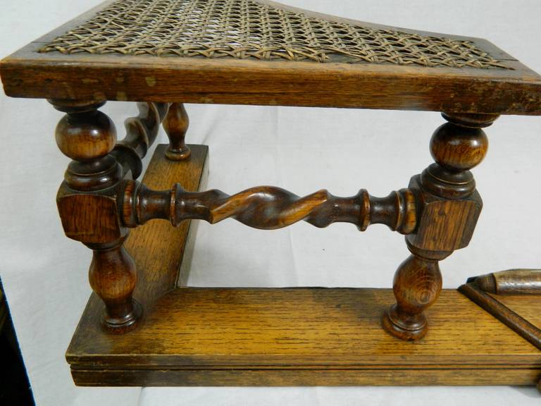 19th Century French Adjustable Wood Club Fender 2