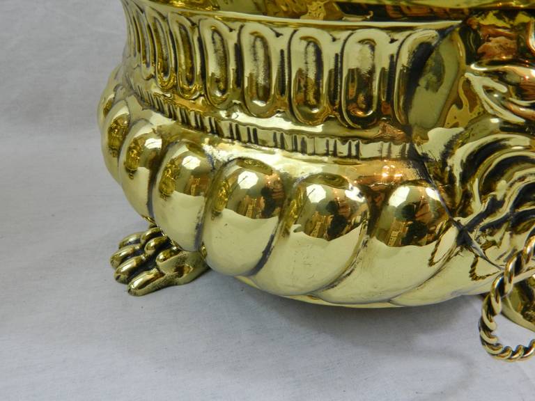 19th Century Polished Brass French Jardinieres 7