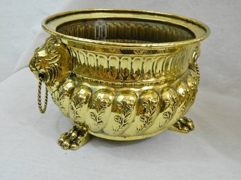 19th Century Polished Brass French Jardinieres 4