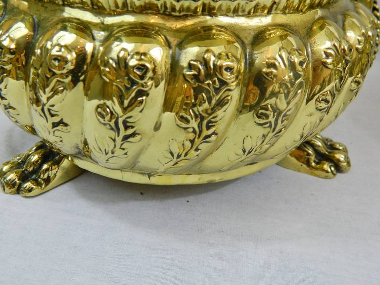 19th Century Polished Brass French Jardinieres 5