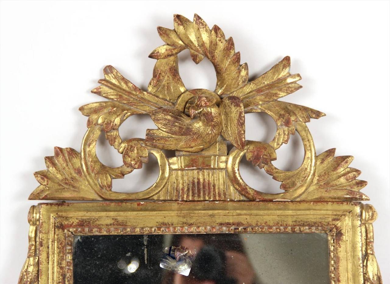 19th Century Circa 1800's Italian Neoclassical Gilt Wood Mirror