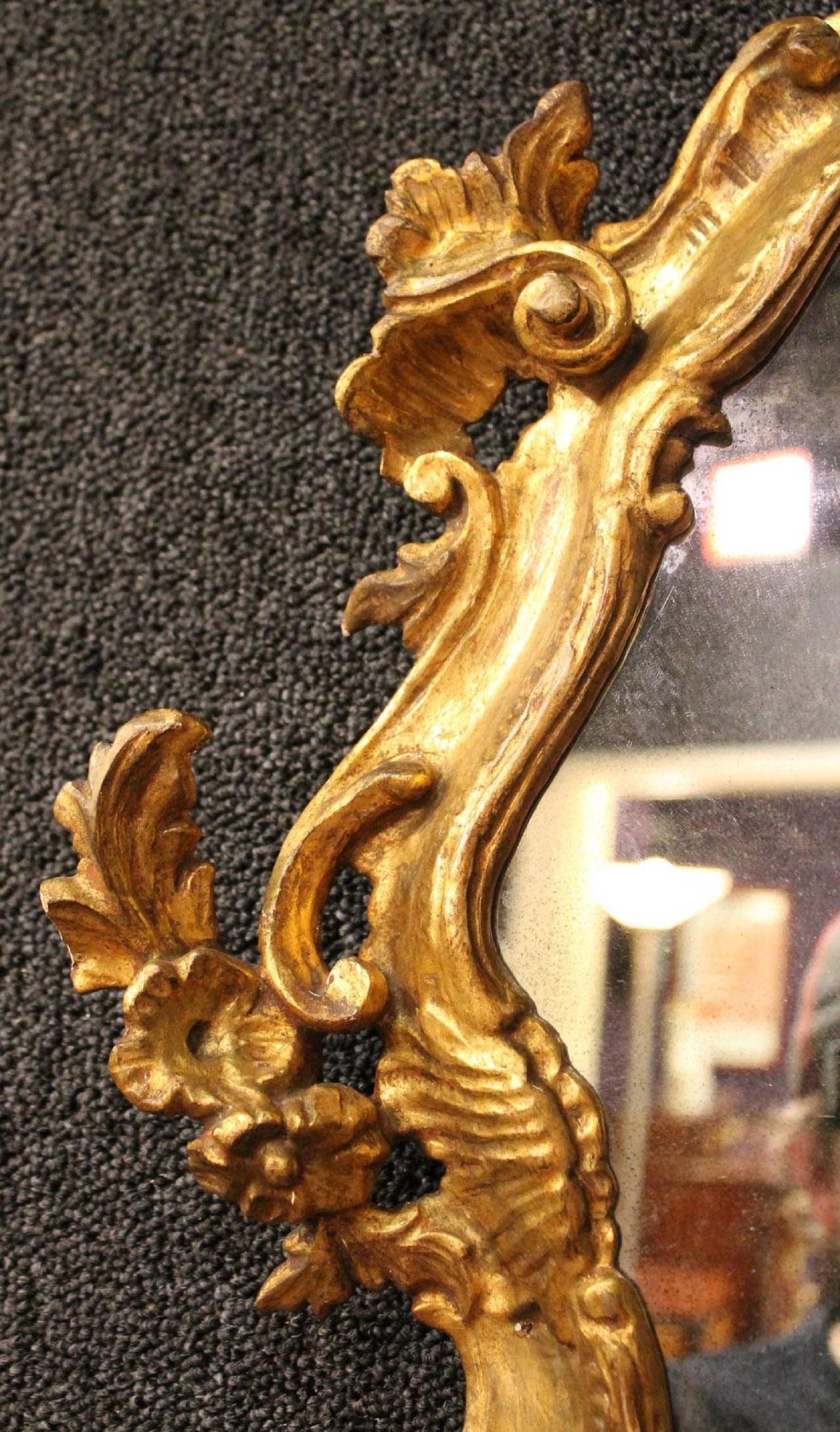 18th Century Italian Baroque Gilt Wood Mirror 2