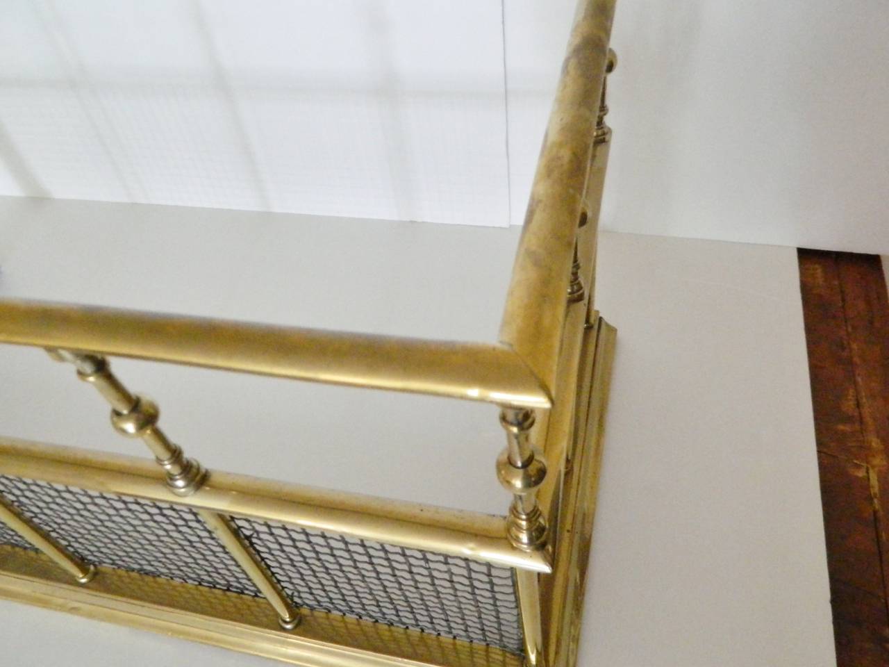 19th Century French Polished Brass Mesh Fire Fender 3