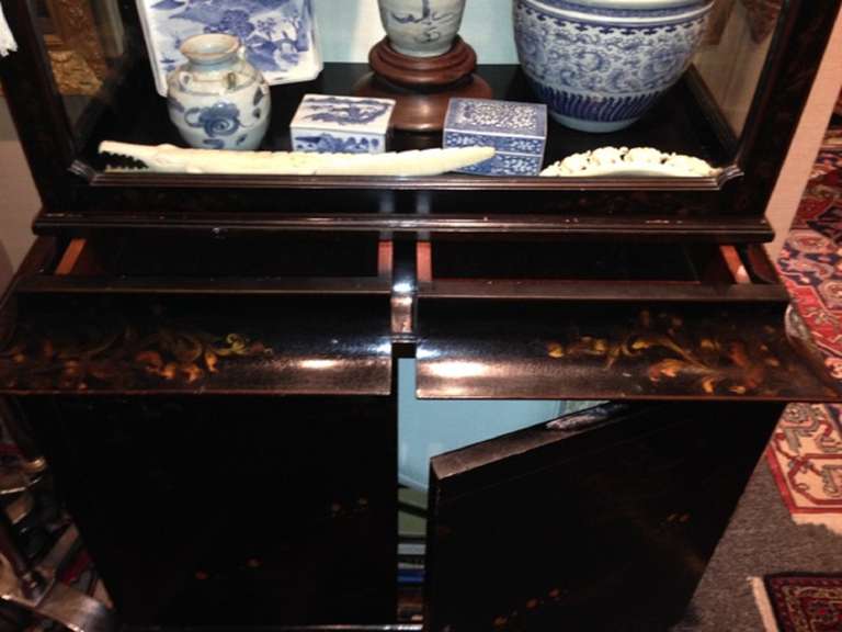 Chinoiserie Display Cabinet, 19th Century For Sale 5