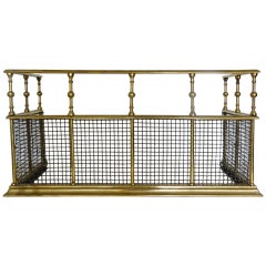 19th Century French Polished Brass Mesh Fire Fender