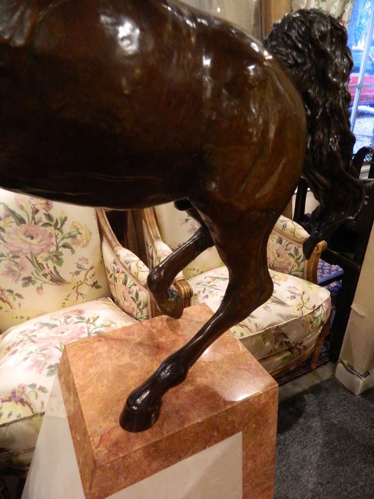 20th Century Bronze Model of a Rearing Horse on a Marble Stand 5