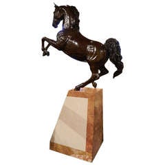 20th Century Bronze Model of a Rearing Horse on a Marble Stand