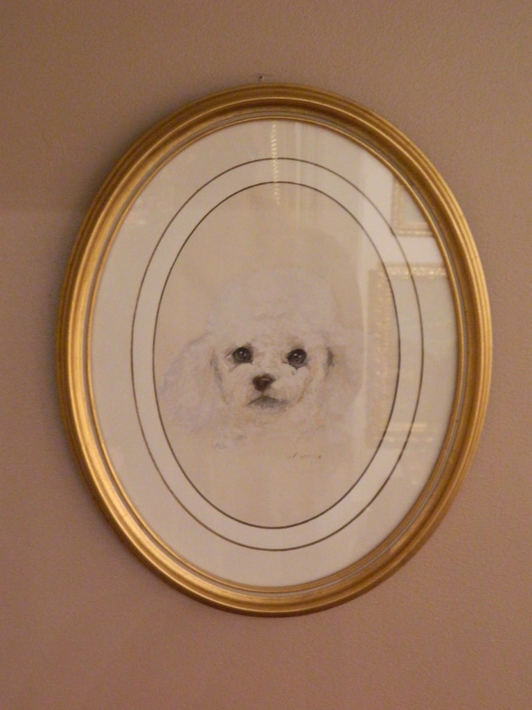 American watercolor by Doris Breden Winston: Portrait of poodle watercolor, framed, titled, signed and dated: lower right, 1968.