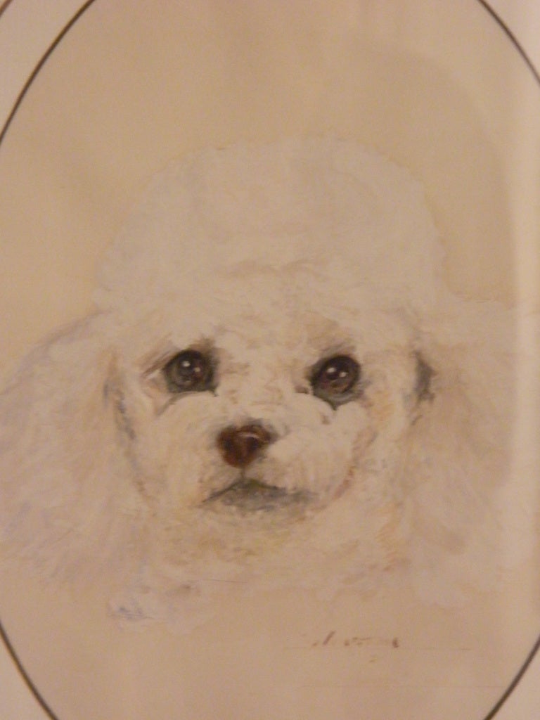American Watercolor Portrait of Winston the Poodle, 20th Century 1