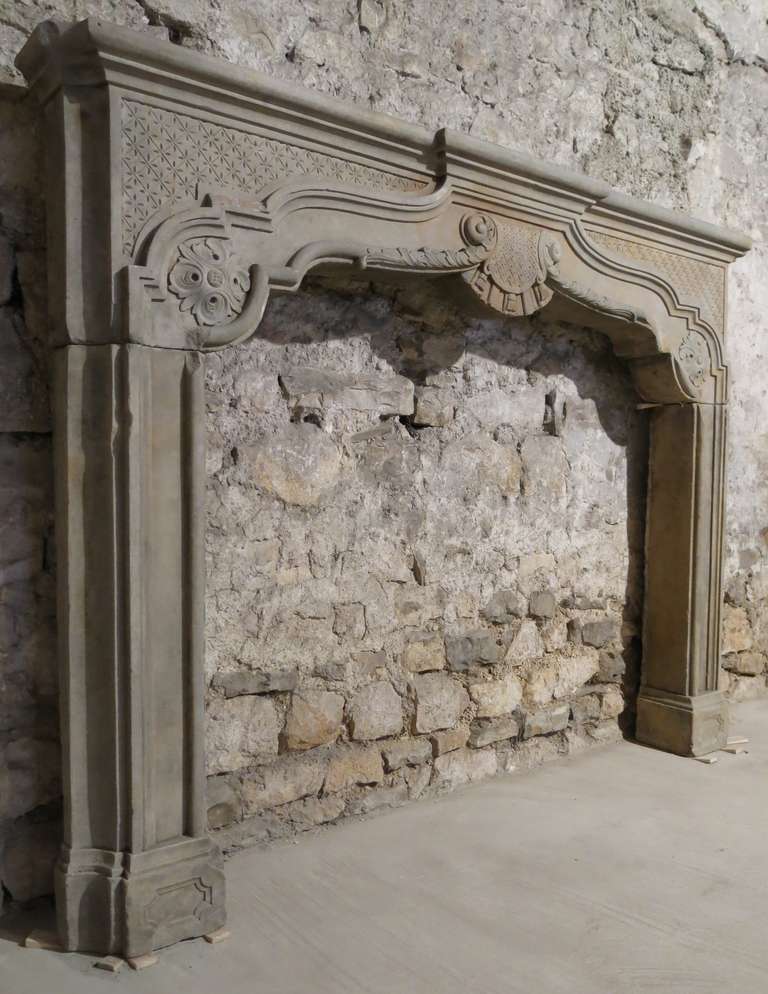 french chateau fireplaces