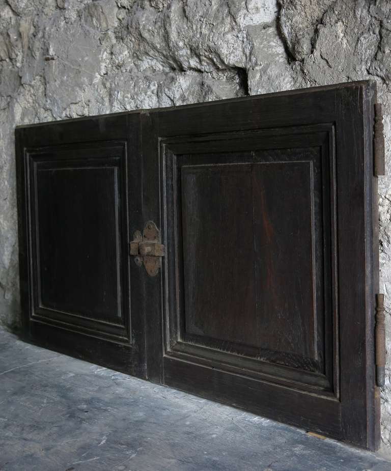French Louis Philippe Two Door Cupboard in Oak circa 1830s France 1