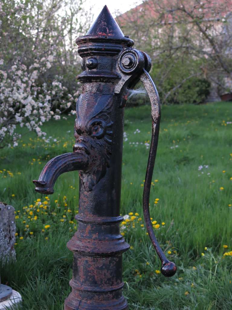 A rare French Dragon Iron-Water-Pump circa 1850s from Paris-France.
It was used to bring 