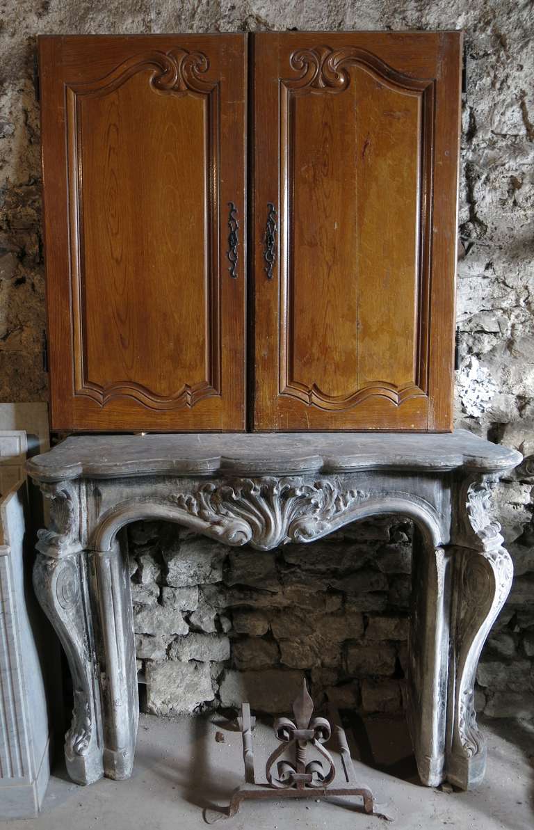 A French Louis XV period pair of cabinet-doors in oak (wood), circa 1750 from France.

Great quality of wood work from that period. Original fittings too.
This pair of door have been painted long time ago.
Some varnish still appears on both