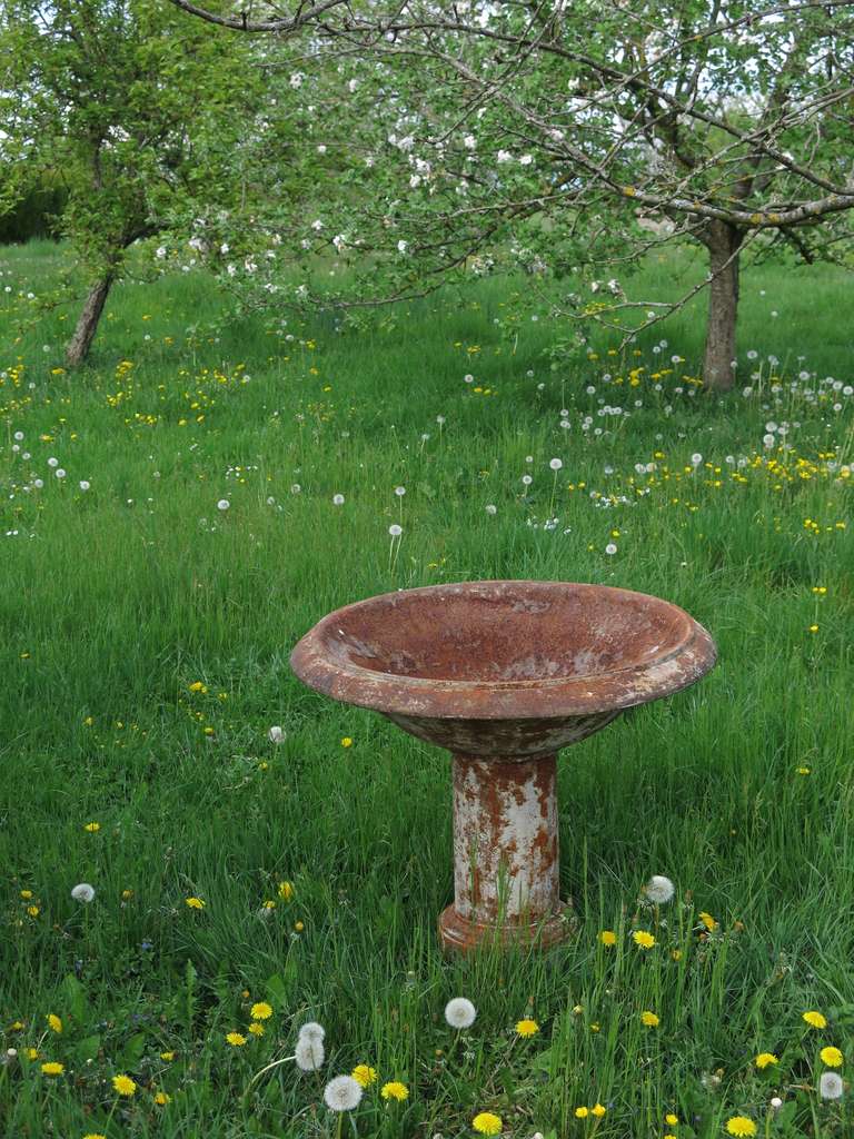 French Louis XIV Style Fountain Birds Bath in Iron circa 1830s, France For Sale 1