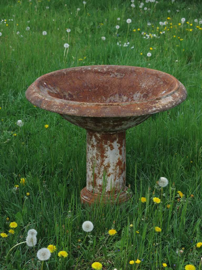 19th Century French Louis XIV Style Fountain Birds Bath in Iron circa 1830s, France For Sale