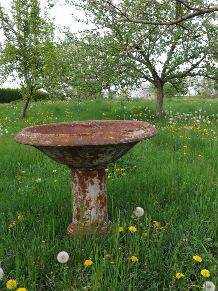 French Louis XIV Style Fountain Birds Bath in Iron circa 1830s, France For Sale 3