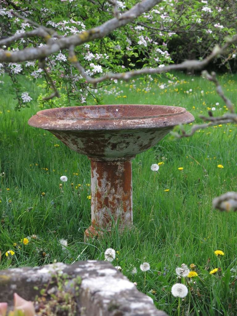 French Louis XIV Style Fountain Birds Bath in Iron circa 1830s, France In Good Condition For Sale In LOS ANGELES, CA