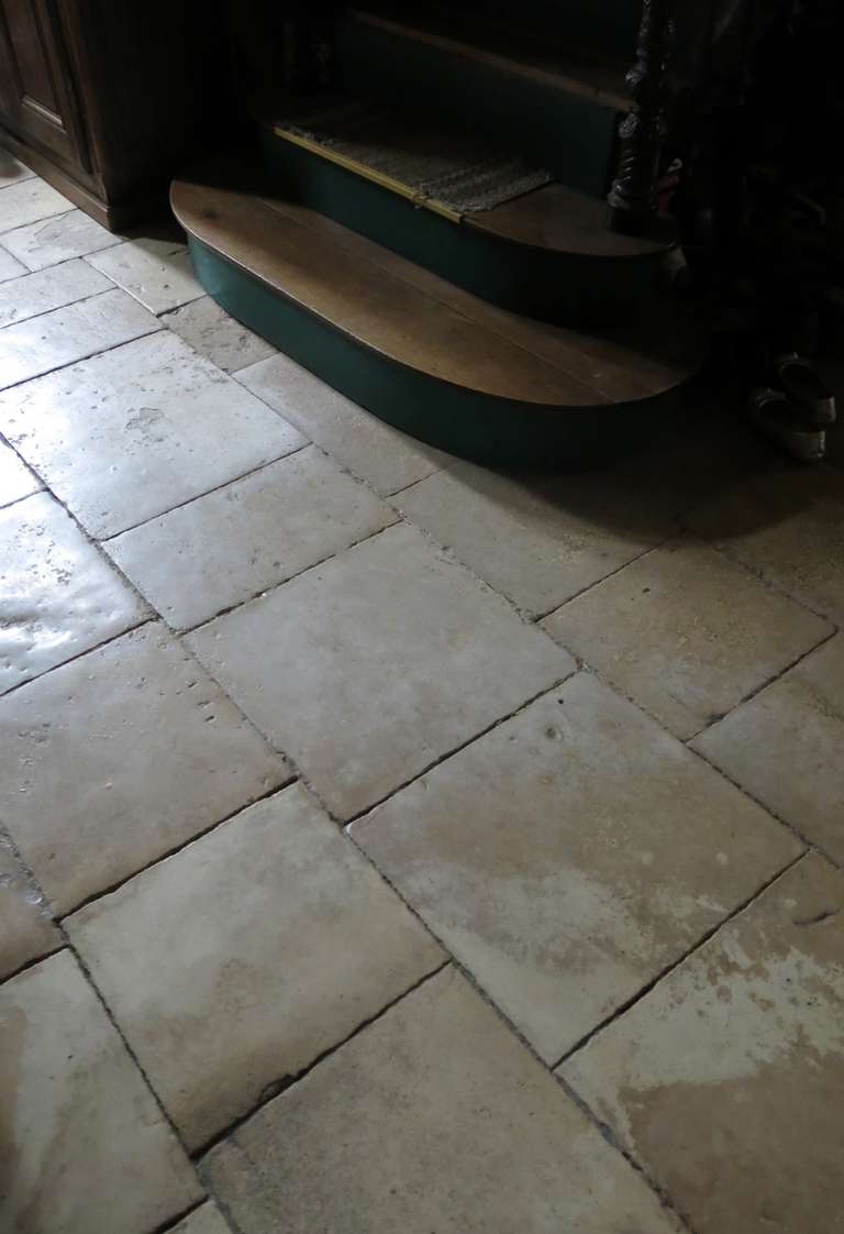 A Top of the Line quality of French Antique Burgundy Limestone Floors Circa 1660s from France.

This rare and original floor is called 