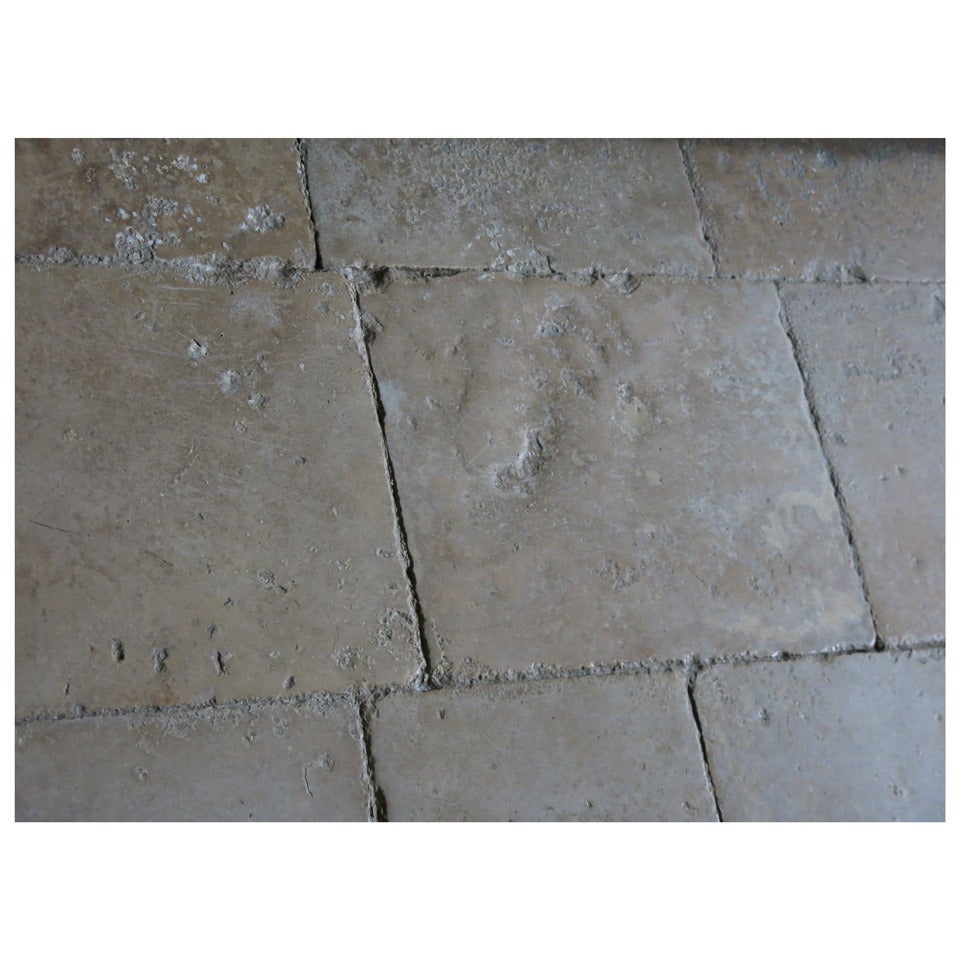 French Antique Burgundy Limestone Floors (Opus Roman), France, circa 1660s