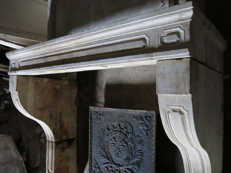 French Louis XIV Style Fireplace with Trumeau 