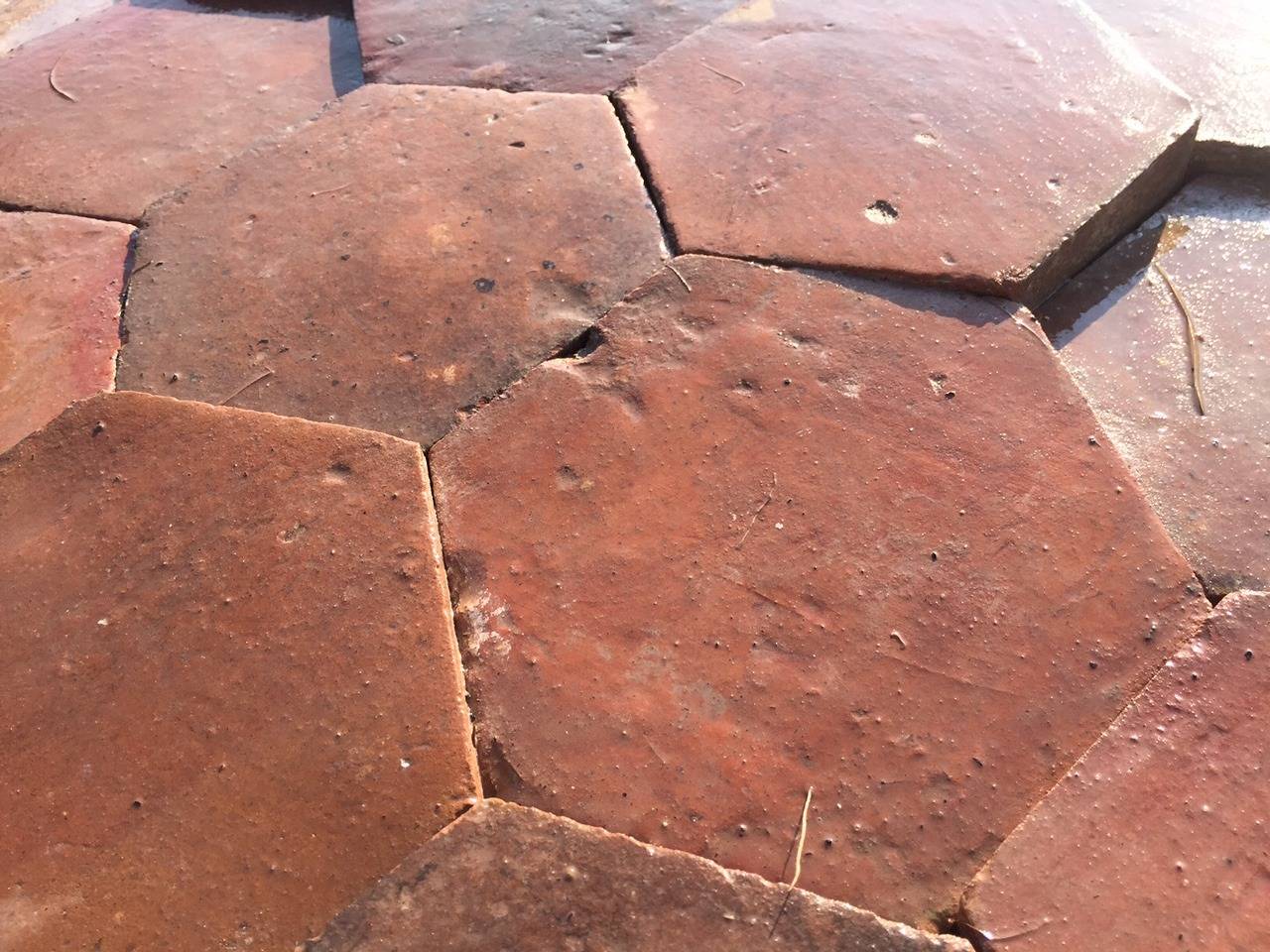 18th Century and Earlier Authentic French Antique Hexagon Terracotta Flooring, Original 1700s, France