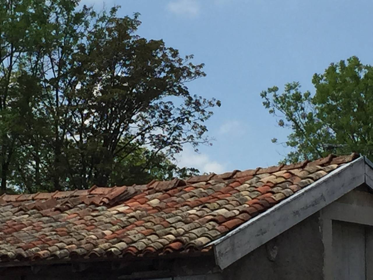 french roof tiles for sale