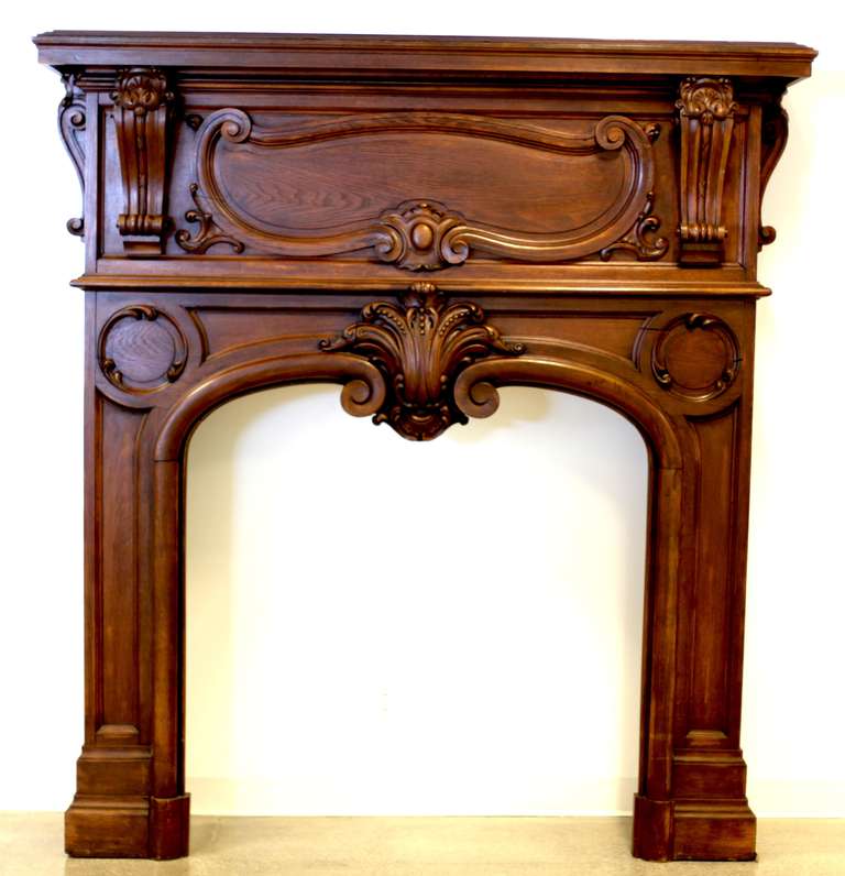 Rare Art Nouveau style fireplace from France. Infuence from 