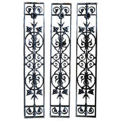 French Iron Windows, Gates Hand-Finished with Flowers, circa 1850, France 3