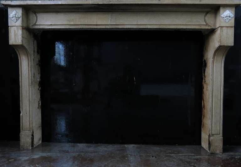 Louis XVI Burgundy Fireplace Hand Carved in Stone, 1800s France