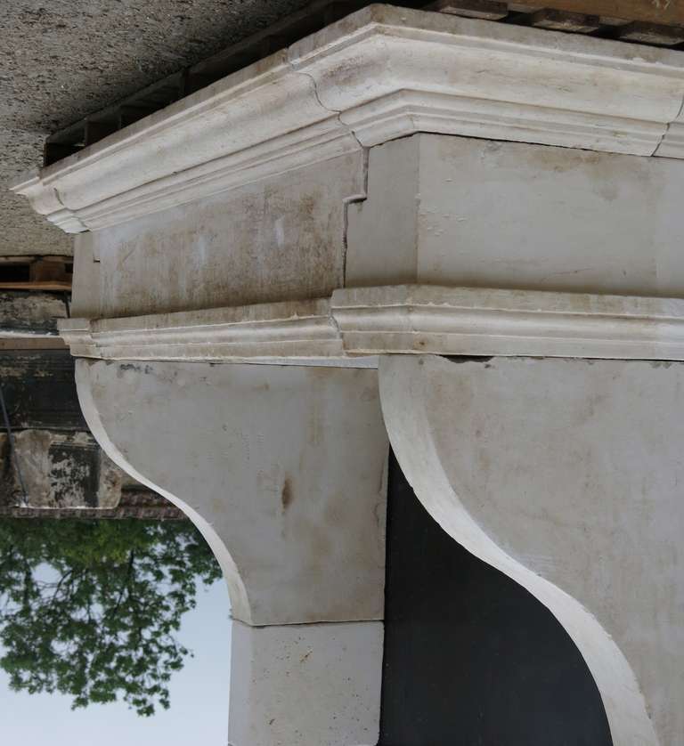 Large French Antique Louis XIII Style Fireplace in White Limestone, France 5