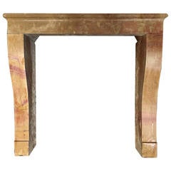 Original French Antique Fireplace, circa 1800s Burgundy, France 3